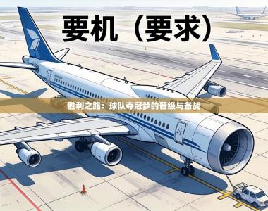 胜利之路：球队夺冠梦的晋级与备战