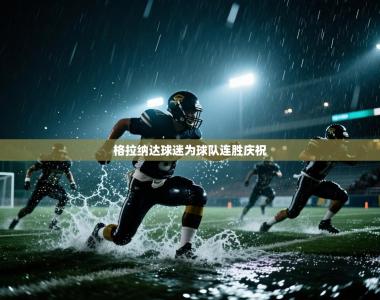 格拉纳达球迷为球队连胜庆祝