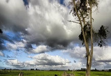 英国选手一路领先，夺得胜利