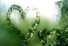 英国选手一路领先，夺得胜利