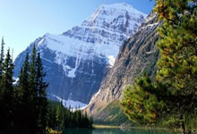 英国选手一路领先，夺得胜利