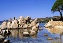 新加坡选手夺得射击金牌，实力突出