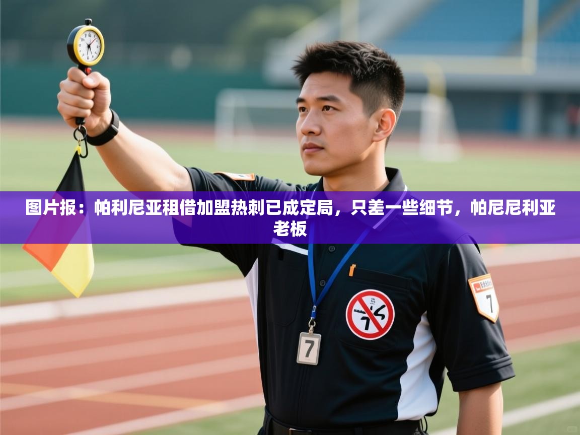 图片报：帕利尼亚租借加盟热刺已成定局，只差一些细节，帕尼尼利亚老板  第1张