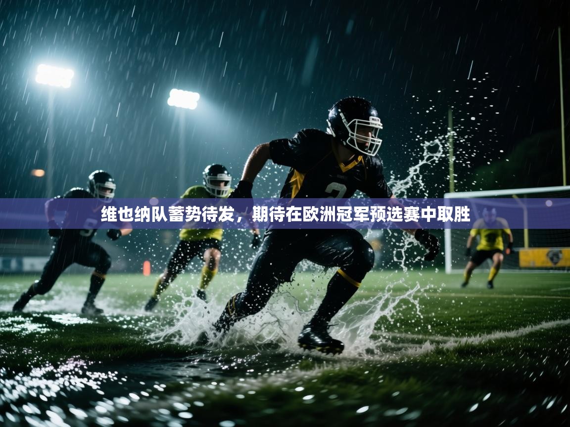 维也纳队蓄势待发，期待在欧洲冠军预选赛中取胜  第1张